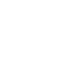 Professional 